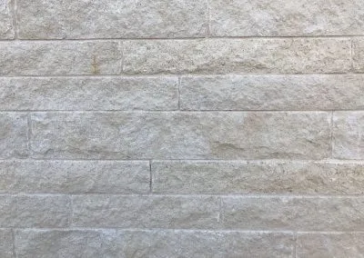 Contemporary Cottonwood