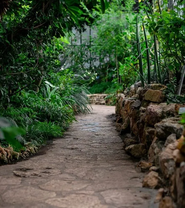 Landscape With Rocks & Stone