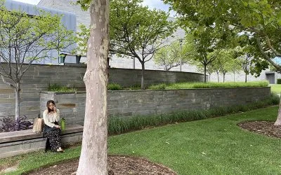 Does Oklahoma Bluestone Need to Be Sealed?