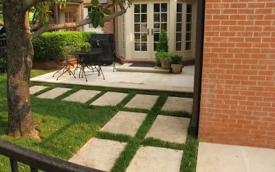 What Are Decorative Rocks and Why Do You Need Them?