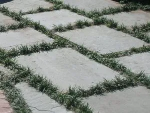 Decorative Stone OKC