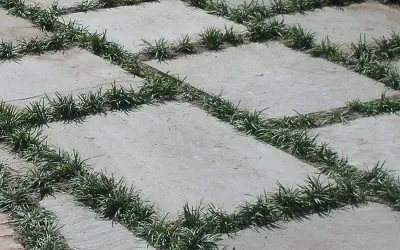 Which Is the Best Decorative Stone OKC in a Garden?