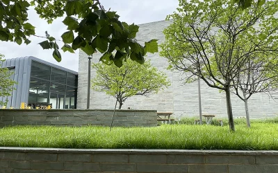 Upgrade Your Office Space with Rock and Stone Oklahoma City