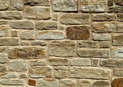 Cabin Creek Tumbled with Dark Buff Mortar