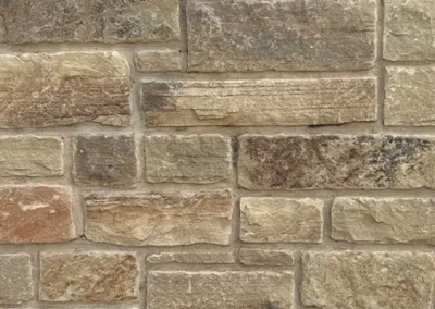 Sienna Tumbled Brown With Dark Buff Mortar