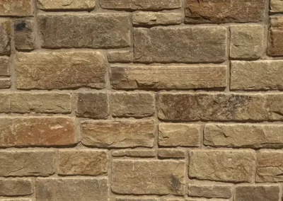 Sienna Tumbled Brown With Dark Buff Mortar