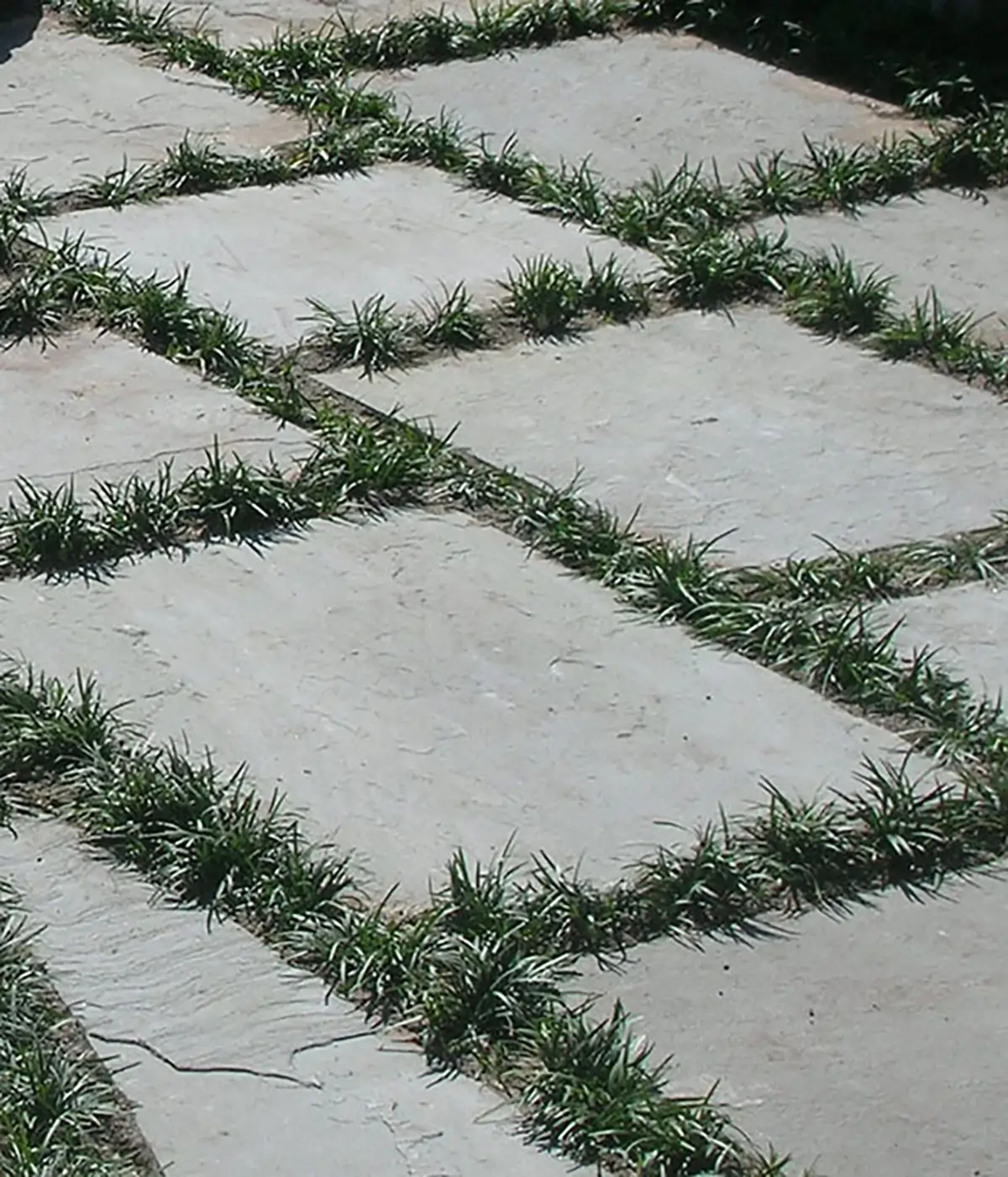 Oklahoma bluestone flooring texture